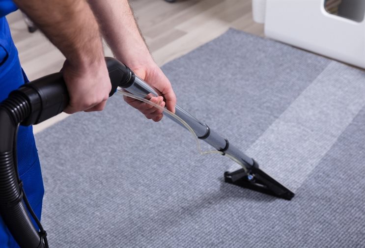 Cleaning Carpet
